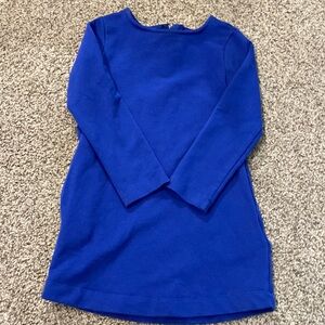 Primary sweatshirt dress